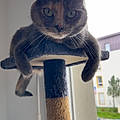 Lucie T.