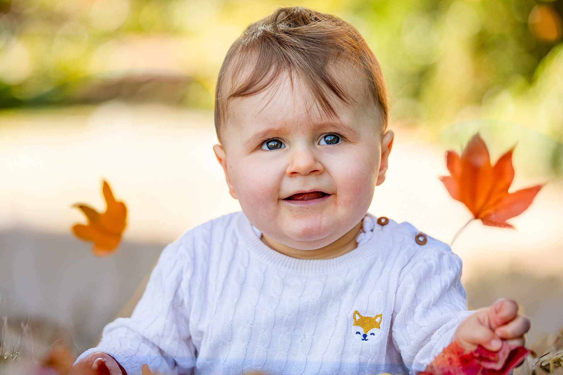 Victor participe au concours pour gagner de l'argent avec cette photo : baby, child, face, smile, blue_eyes, sweater, fox_patch, autumn, fall_leaves, leaf, outdoor, nature, portrait, cute, young_child, seasonal, warm_clothing, skin, hair, person