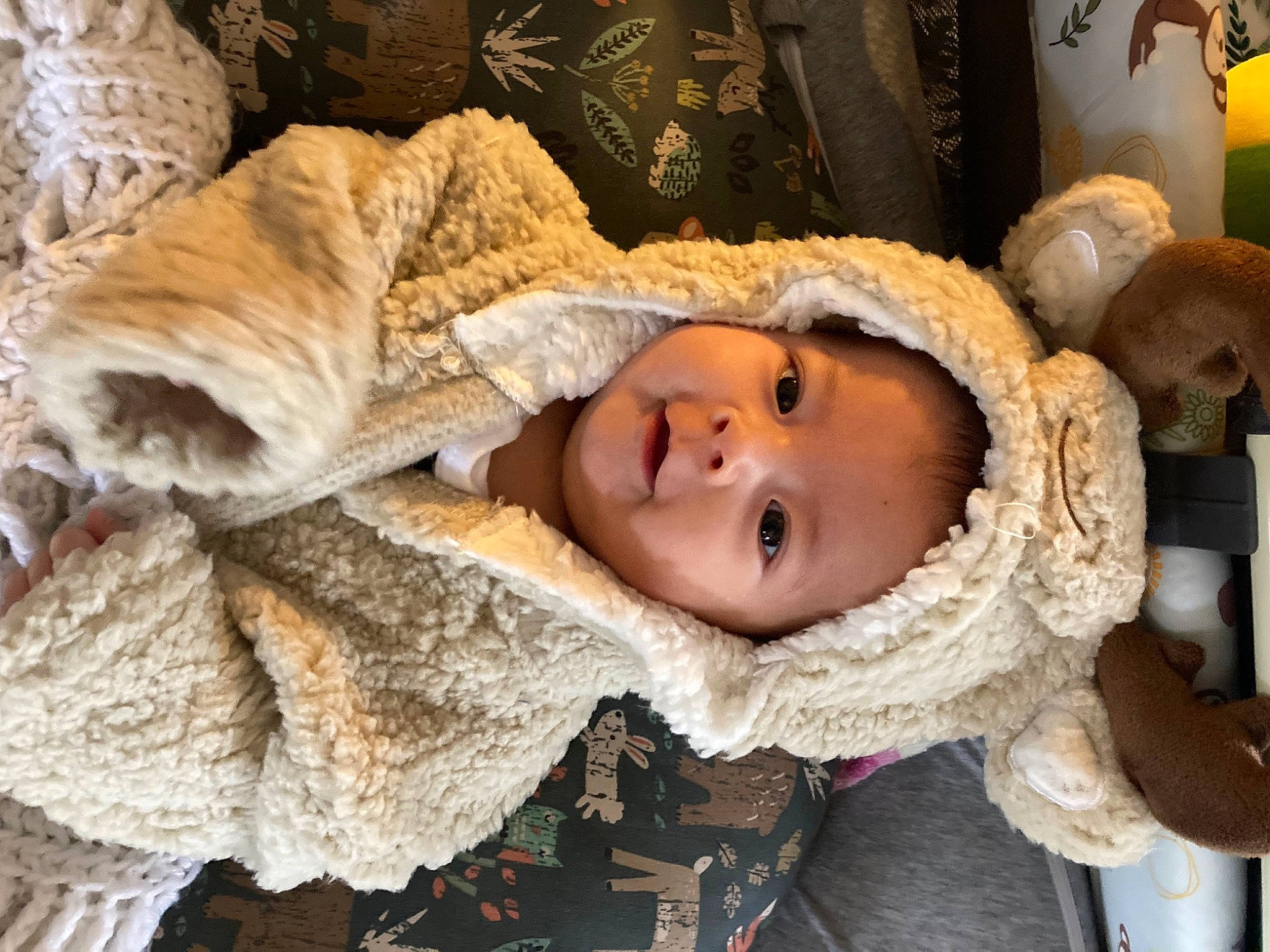 Imogen is registered to the contest to win money with this photo: baby, baby_toddler_clothing, cheek, child, comfort, eye, fur, fur_clothing, happy, head, headwear, linens, nose, person, room, skin, smile, toddler, tree, winter