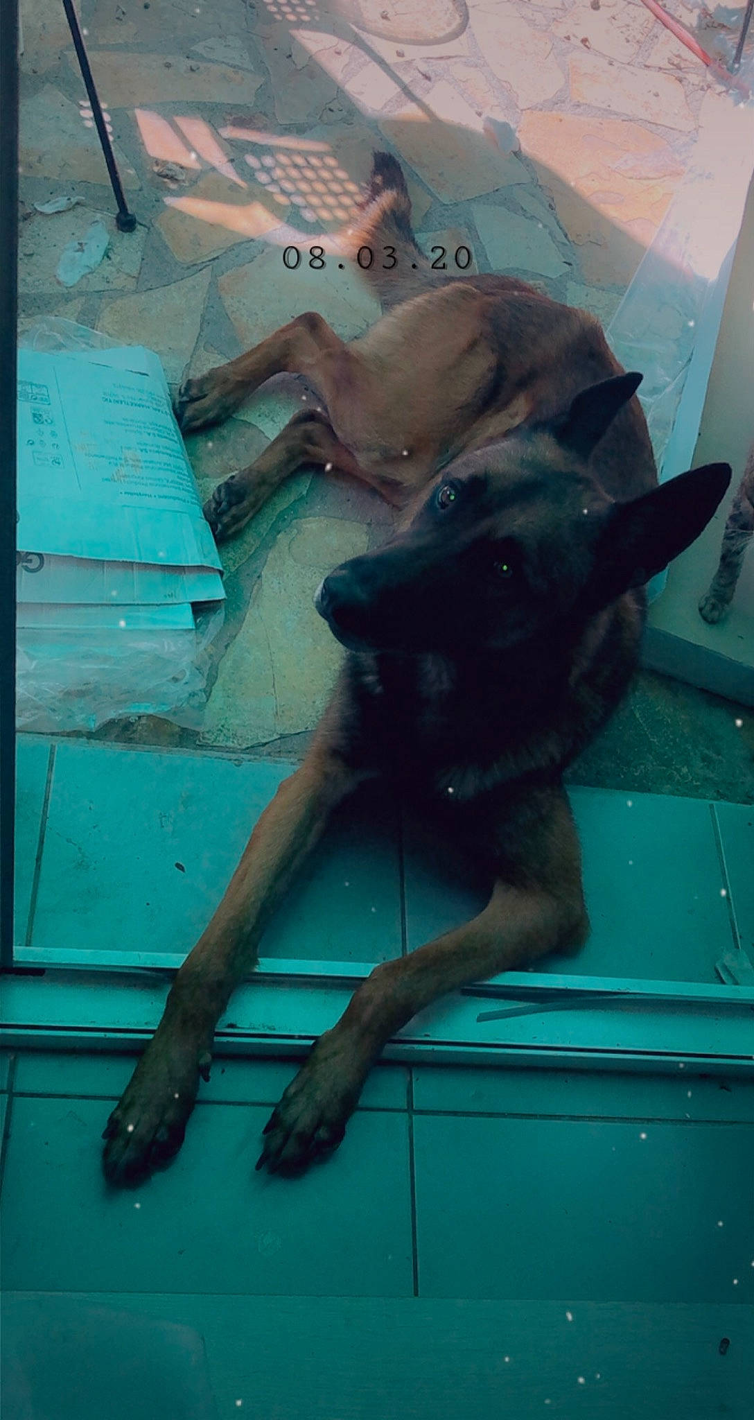 Ross participe au concours pour gagner de l'argent avec cette photo :