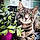 Titou