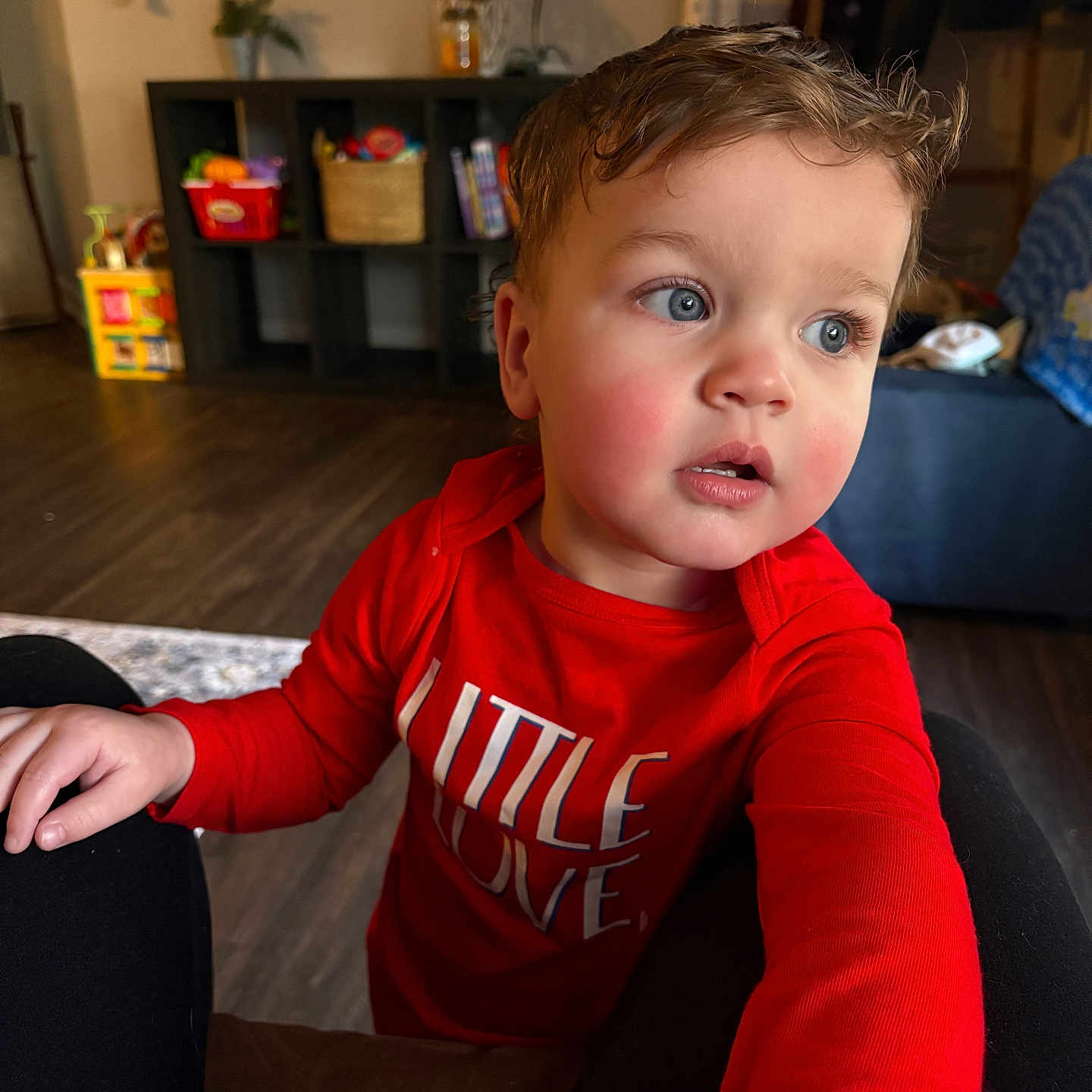 Liam joined the competition — help win amazing prizes! blue_eyes, casual_clothing, child, curious, daylight, expression, face, floor, furniture, hair, hand, home, indoor, living_room, person, red_shirt, sitting, toddler, toy, young_child