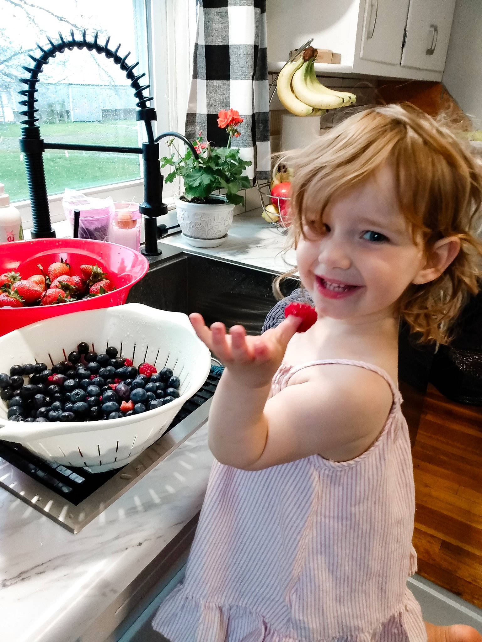 Raegan joined the competition — help win amazing prizes! baking, berry, child, cuisine, food, fruit, joy, person, plant, play, toddler