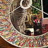 cat, gray_cat, yarn, colorful, circular_object, desk, pens, pen_holder, computer_monitor, indoor, plant, green_leaves, reflection, curious, pet, feline, closeup, wooden_surface, decor, home_office