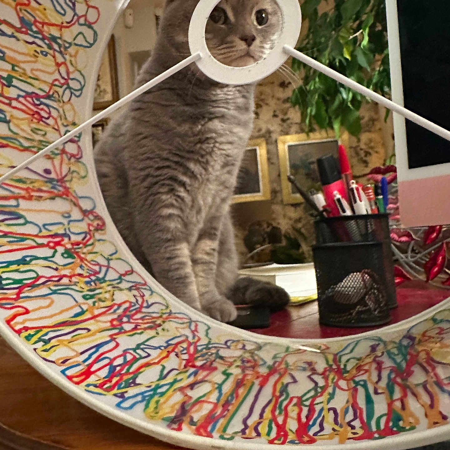 Tigroun participe au concours pour gagner de l'argent avec cette photo : cat, colorful, computer_monitor, cozy, curious, decor, desk, face, feline, framed_picture, gray_cat, home_office, indoor, pens, pet, plant, reflection, ring_light, stationery, wooden_table