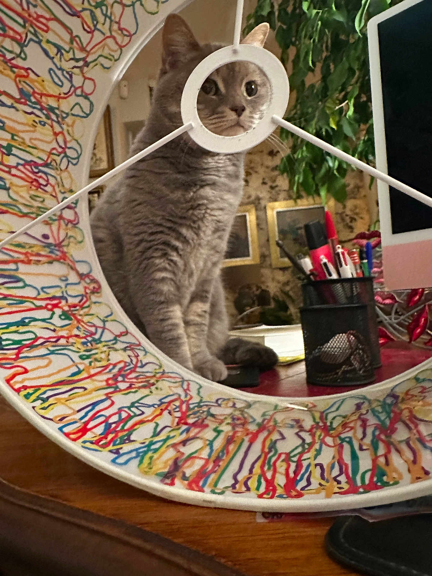 Tigroun participe au concours pour gagner de l'argent avec cette photo : cat, gray_cat, ring_light, colorful, indoor, desk, pens, computer_monitor, plant, framed_picture, wooden_table, curious, face, feline, reflection, decor, stationery, home_office, cozy, pet