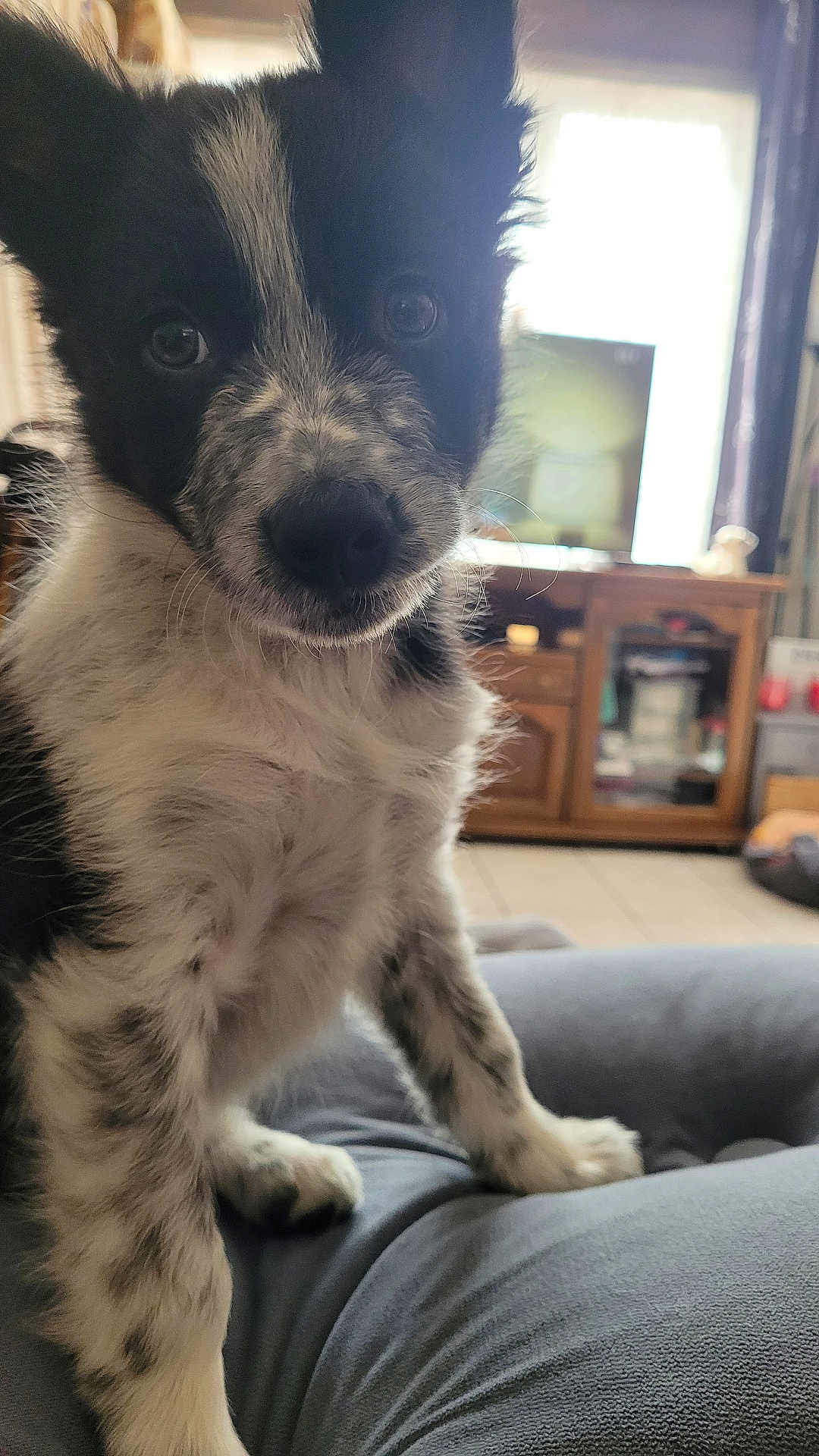 Aby