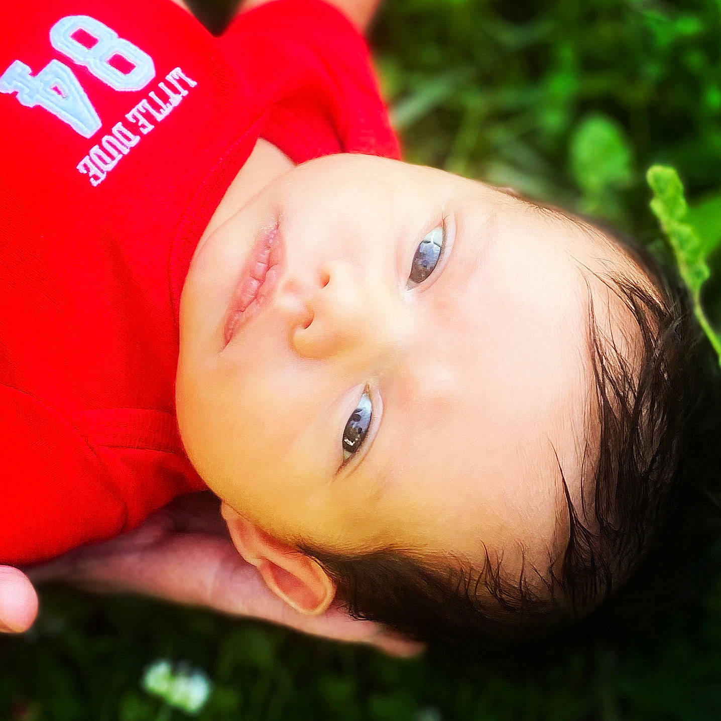 Greyson is registered to the contest to win money with this photo: baby, baby_toddler_clothing, cap, cheek, child, chin, eyelash, facial_expression, fun, grass, happy, hat, leaf, leisure, lip, nose, person, plant, skin, toddler