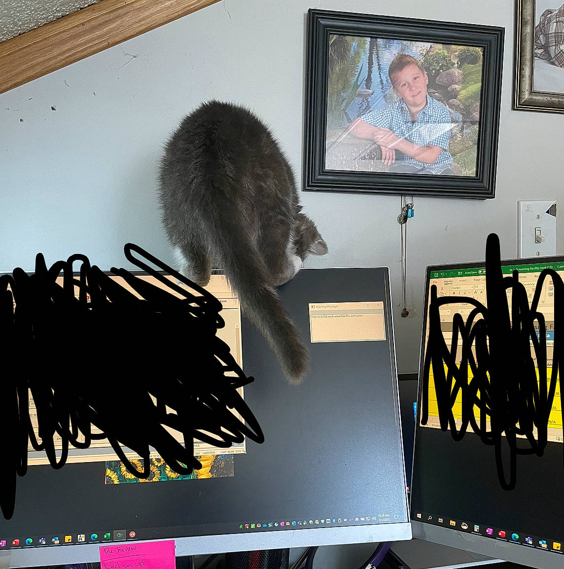 Little Miss joined the competition — help win amazing prizes! advertising, art, design, fashion_design, feather, felidae, flightless_bird, font, fur, graphics, mammal, picture_frame, room, small_to_medium_sized_cats, snapshot, tail, vertebrate, visual_arts, whiskers, window