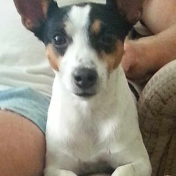 Junior