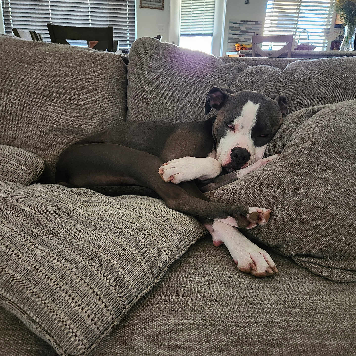 Bella