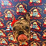 Stormi Grey joined the competition — help win amazing prizes! dog, french_bulldog, tongue_out, red_bow, brindle, close_up, face, pet, cute, animal, holiday, christmas, santa_claus, patterned_background, blue_background, festive, funny, expression, indoor, portrait