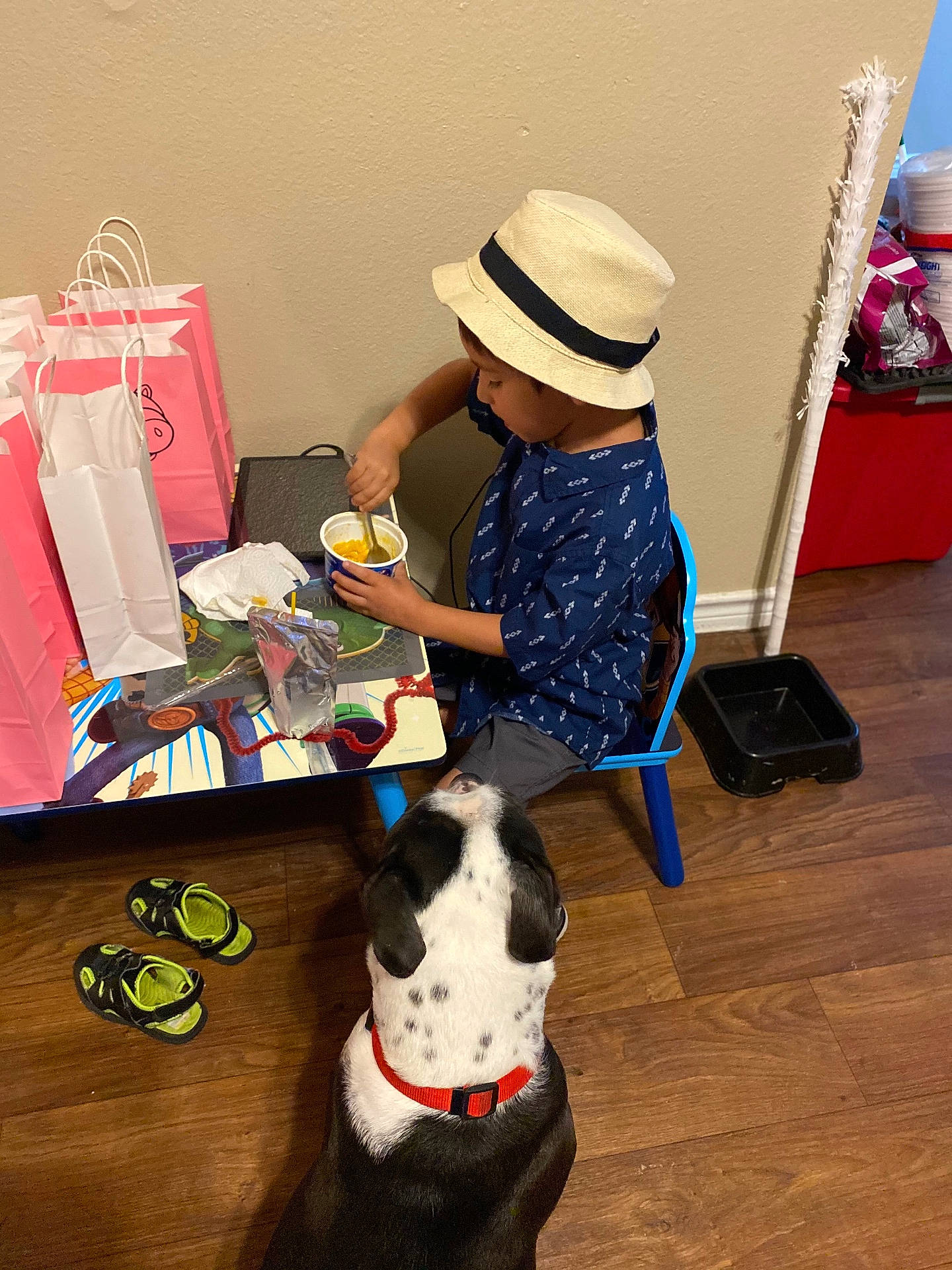 Ripley is registered to the contest to win money with this photo: animal, boy, canine, child, clothing, diningtable, dog, face, footwear, furniture, hat, head, male, person, photography, portrait, shoe, sitting, table, wood