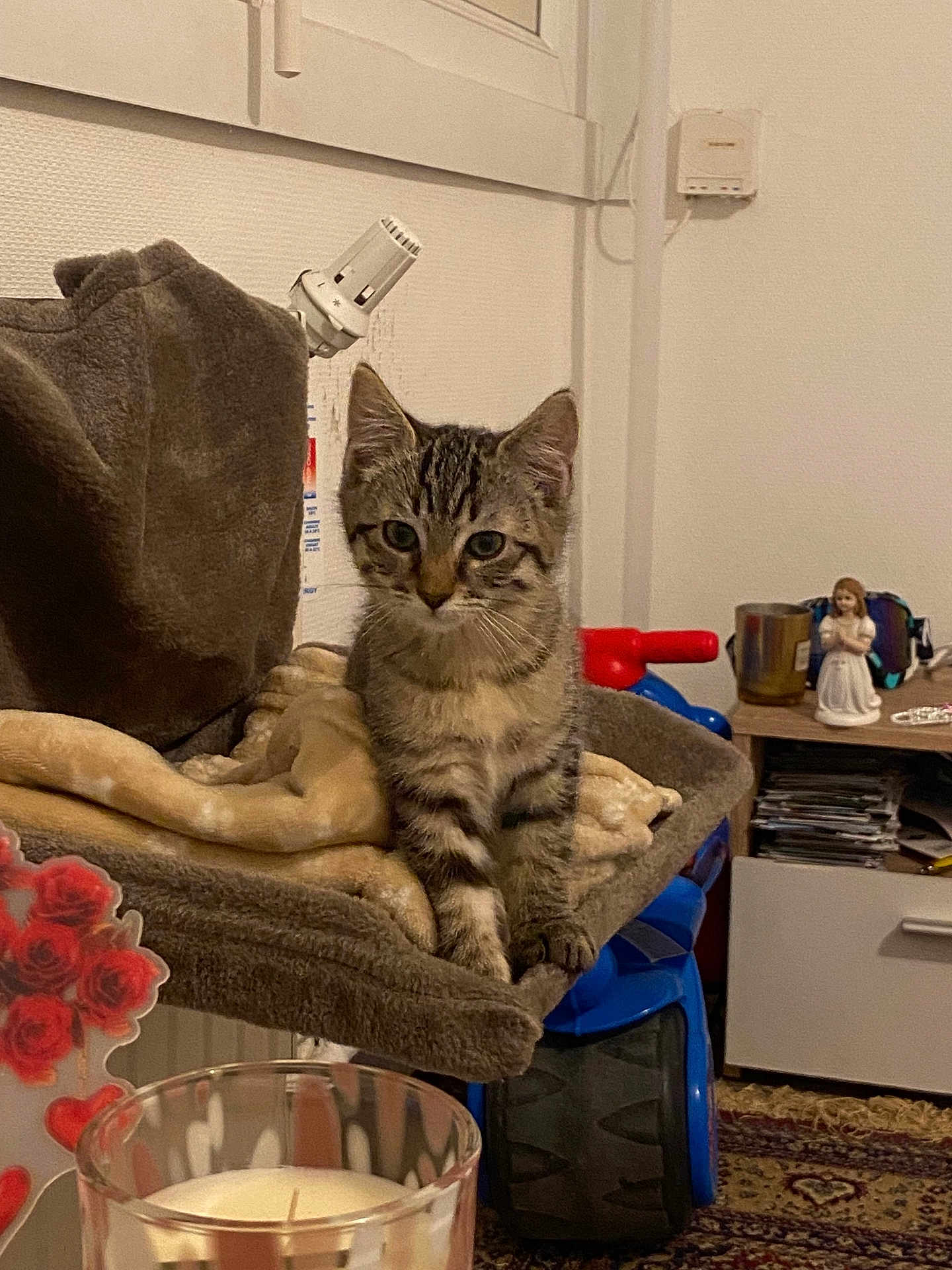 Milo