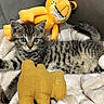 cat, kitten, tabby, gray_fur, striped_fur, blue_eyes, animal, pet, lying_down, cuddling, stuffed_animal, plush_toy, tiger_toy, blanket, bed, cozy, indoors, portrait, cute, whiskers