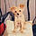 Winny
