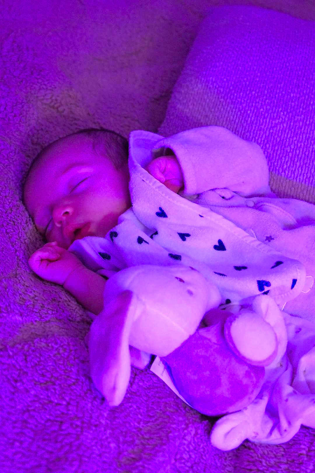 Mylo a rejoint le concours — aidez-le/la à gagner de superbes lots ! baby, sleeping, blanket, plush_toy, bunny, purple_light, cozy, infant, soft_texture, cute, peaceful, child, wrapped, resting, indoor, warm, toddler, face, person, comfort