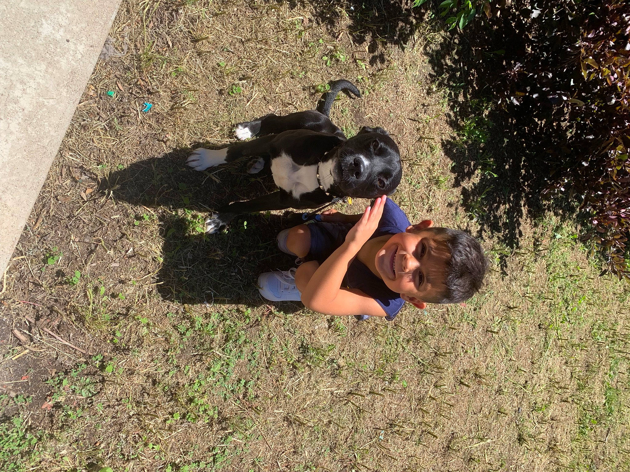 Baley is registered to the contest to win money with this photo: asphalt, fun, grass, grassland, landscape, lawn, leisure, people_in_nature, plant, recreation, road_surface, shadow, shrub, soil, sporting_group, tints_and_shades, tree