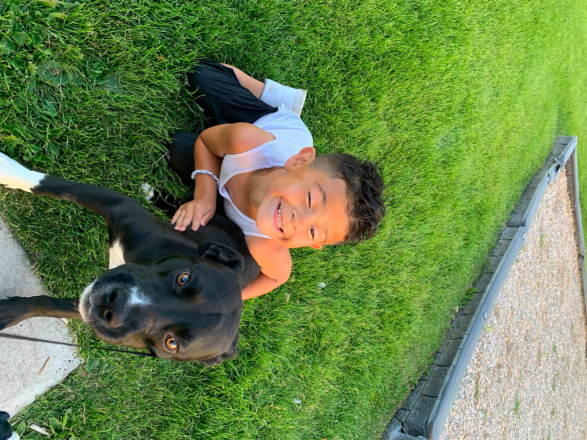 Baley joined the competition — help win amazing prizes! canidae, carnivore, companion_dog, dog, dog_breed, fun, grass, grassland, guard_dog, happy, hat, lawn, leisure, people_in_nature, personal_protective_equipment, plant, recreation, sitting, sporting_group, toddler