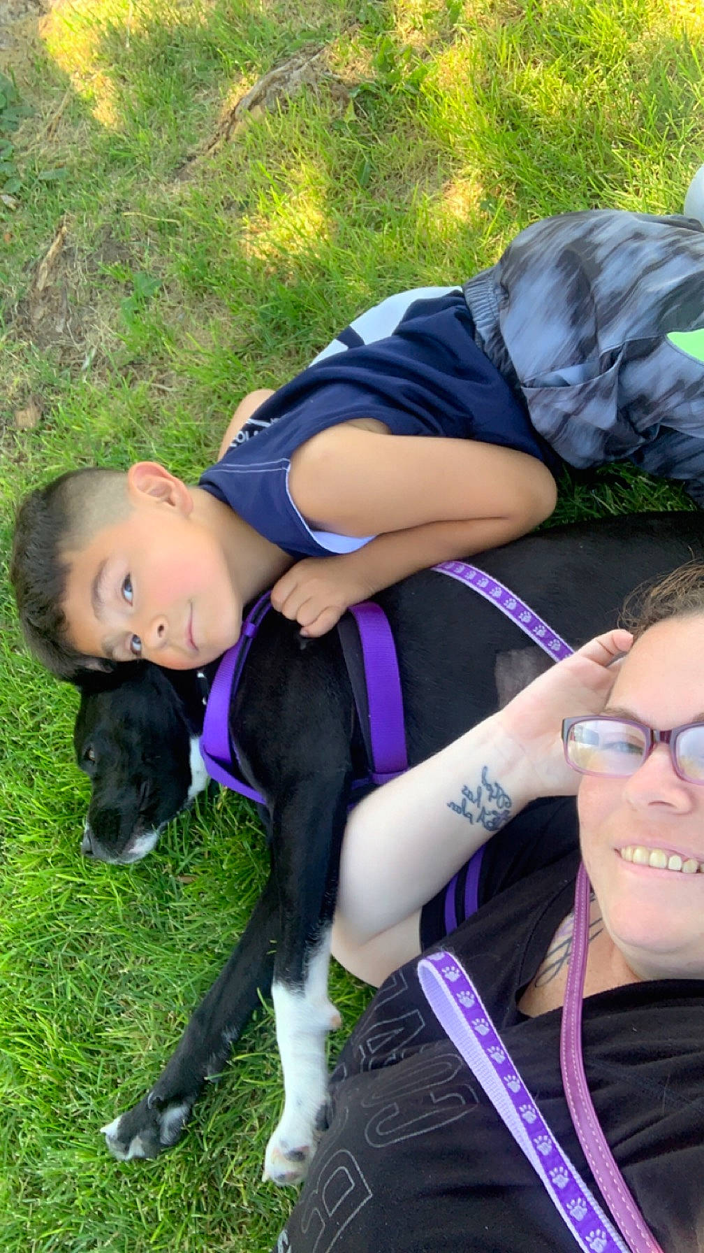 Baley joined the competition — help win amazing prizes! carnivore, companion_dog, cool, dog, dog_breed, electric_blue, eyewear, fashion_accessory, fun, grass, happy, human_leg, leisure, magenta, plant, recreation, sitting, sunglasses, thigh, vision_care