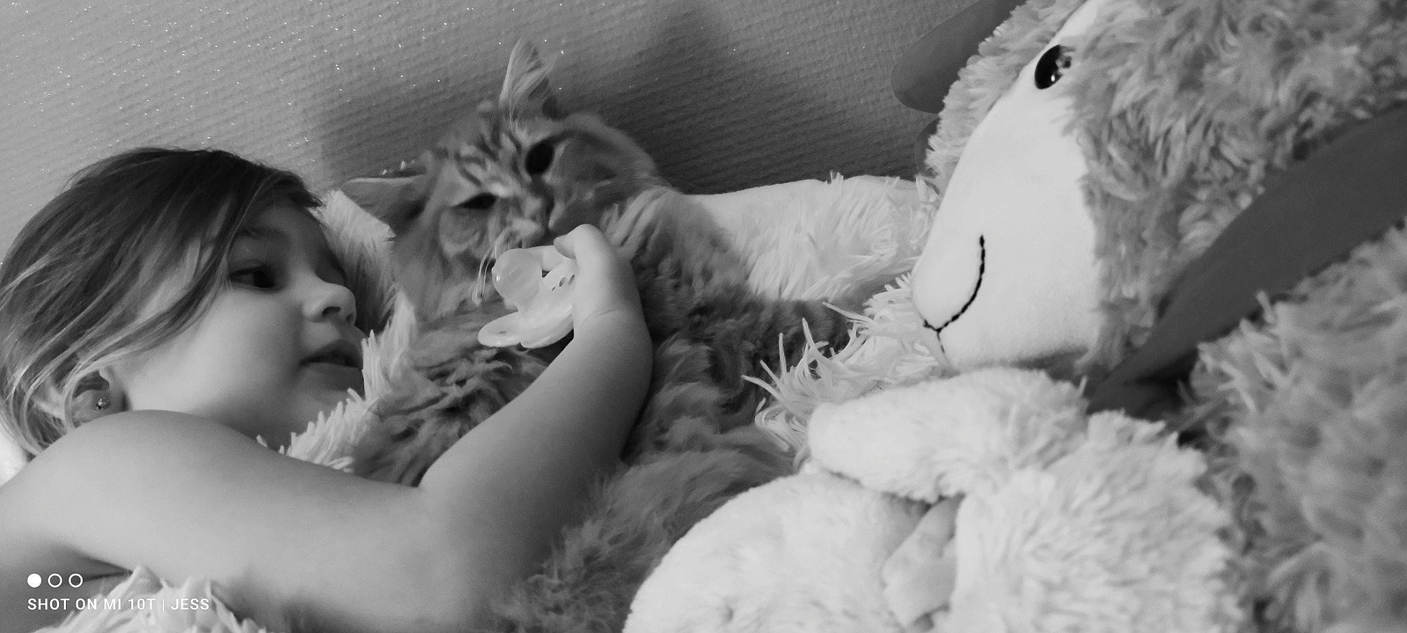 Calie participe au concours pour gagner de l'argent avec cette photo : black, black_and_white, child, comfort, companion_dog, fur, gesture, happy, linens, monochrome, monochrome_photography, mouth, nose, person, photograph, snapshot, style, teddy_bear, textile, toy