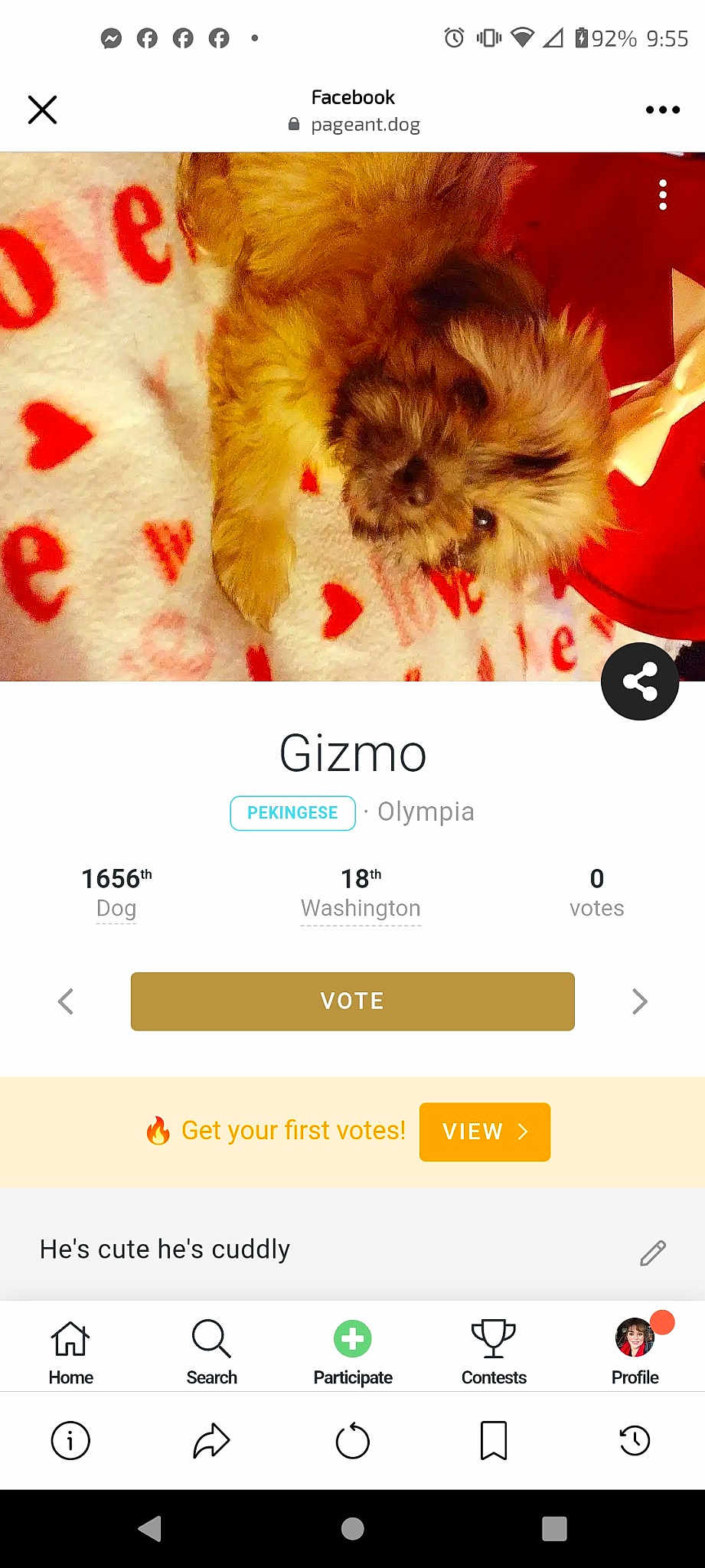 Gizmo