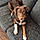 Axle