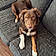 Axle