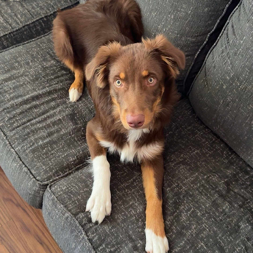 Axle