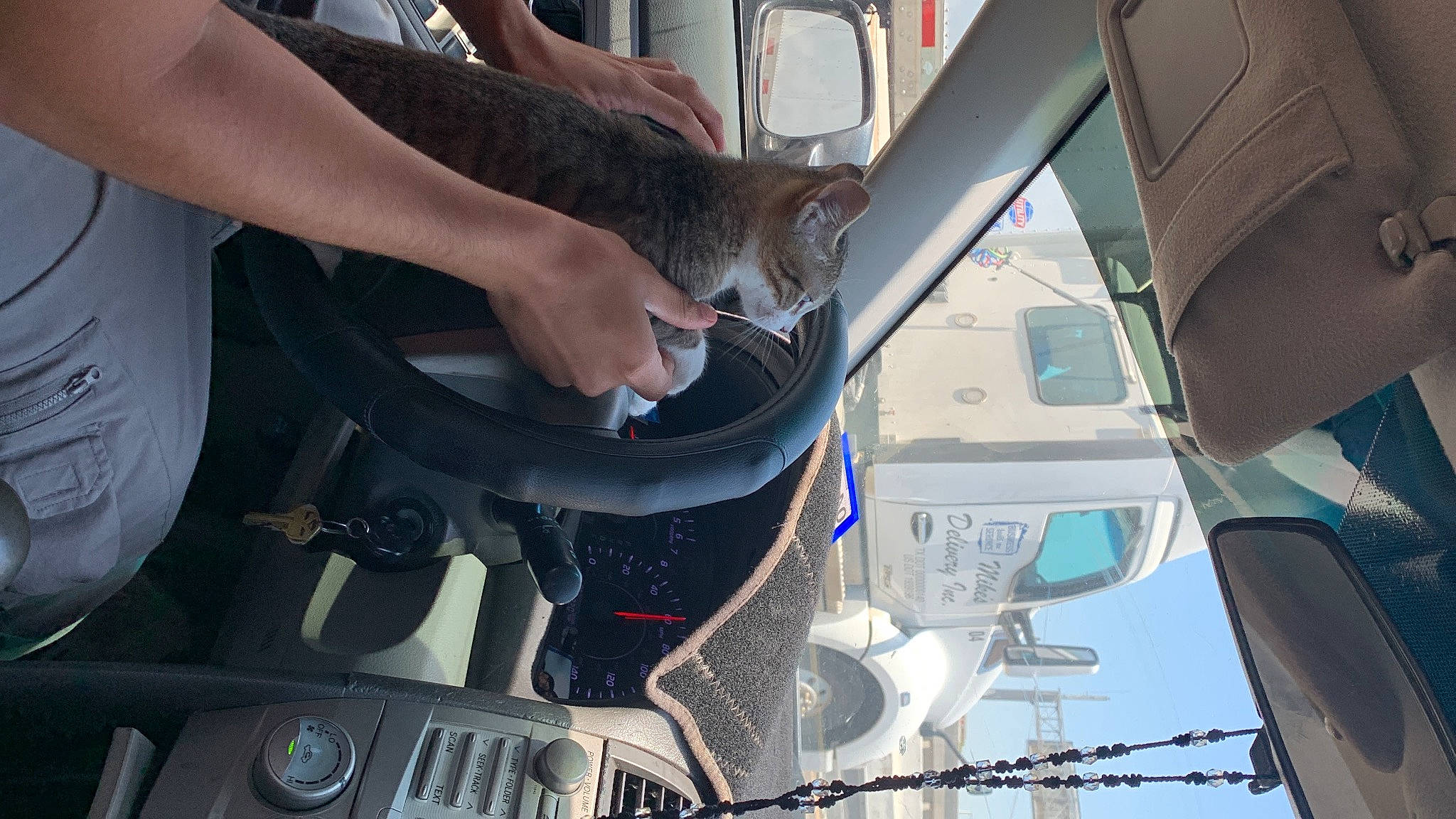 Milo joined the competition — help win amazing prizes! auto_part, automotive_care, automotive_design, automotive_exterior, automotive_lighting, automotive_tire, automotive_window_part, bumper, car, engineering, fender, glass, hood, machine, motor_vehicle, service, vehicle, vehicle_door, windscreen_wiper, windshield