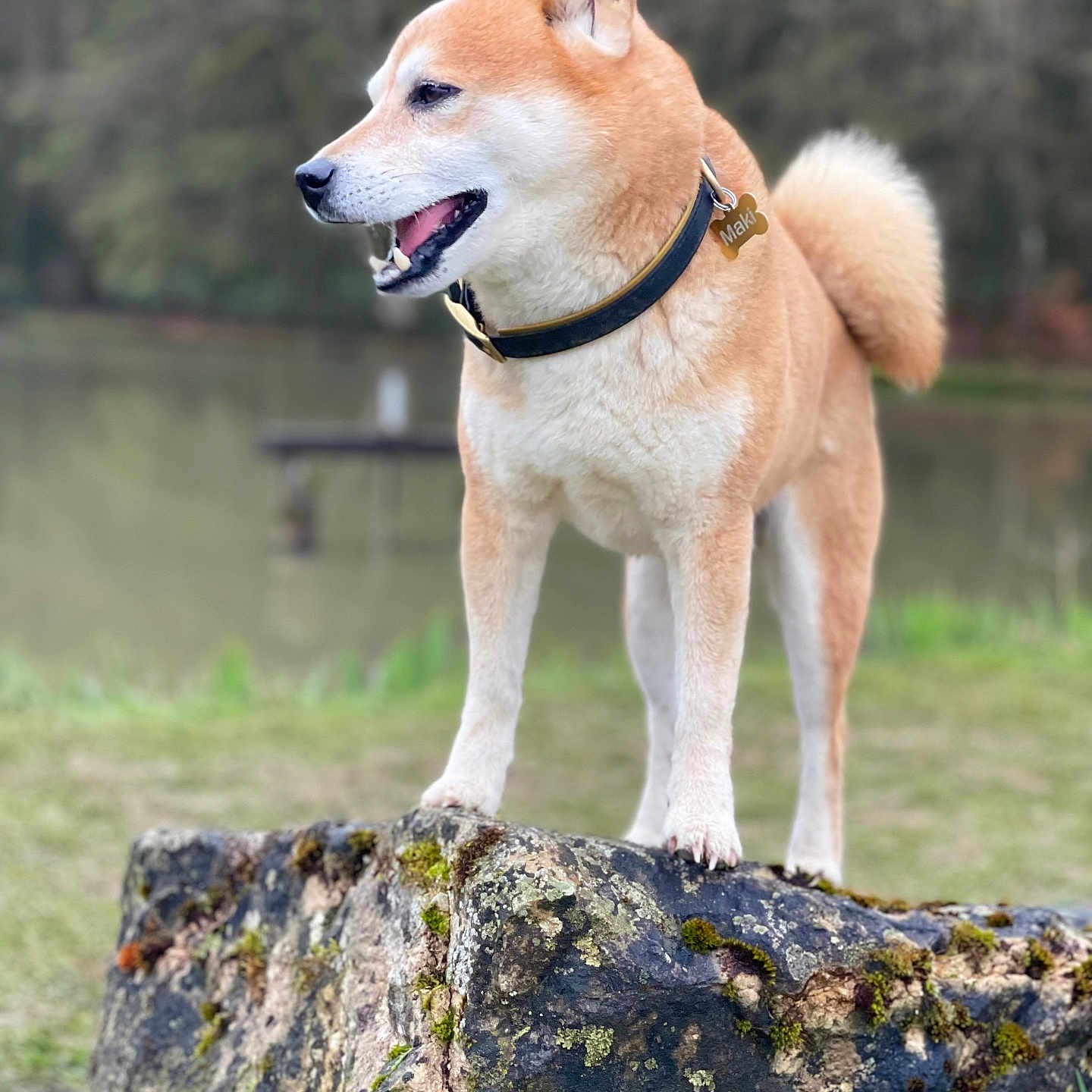Maki