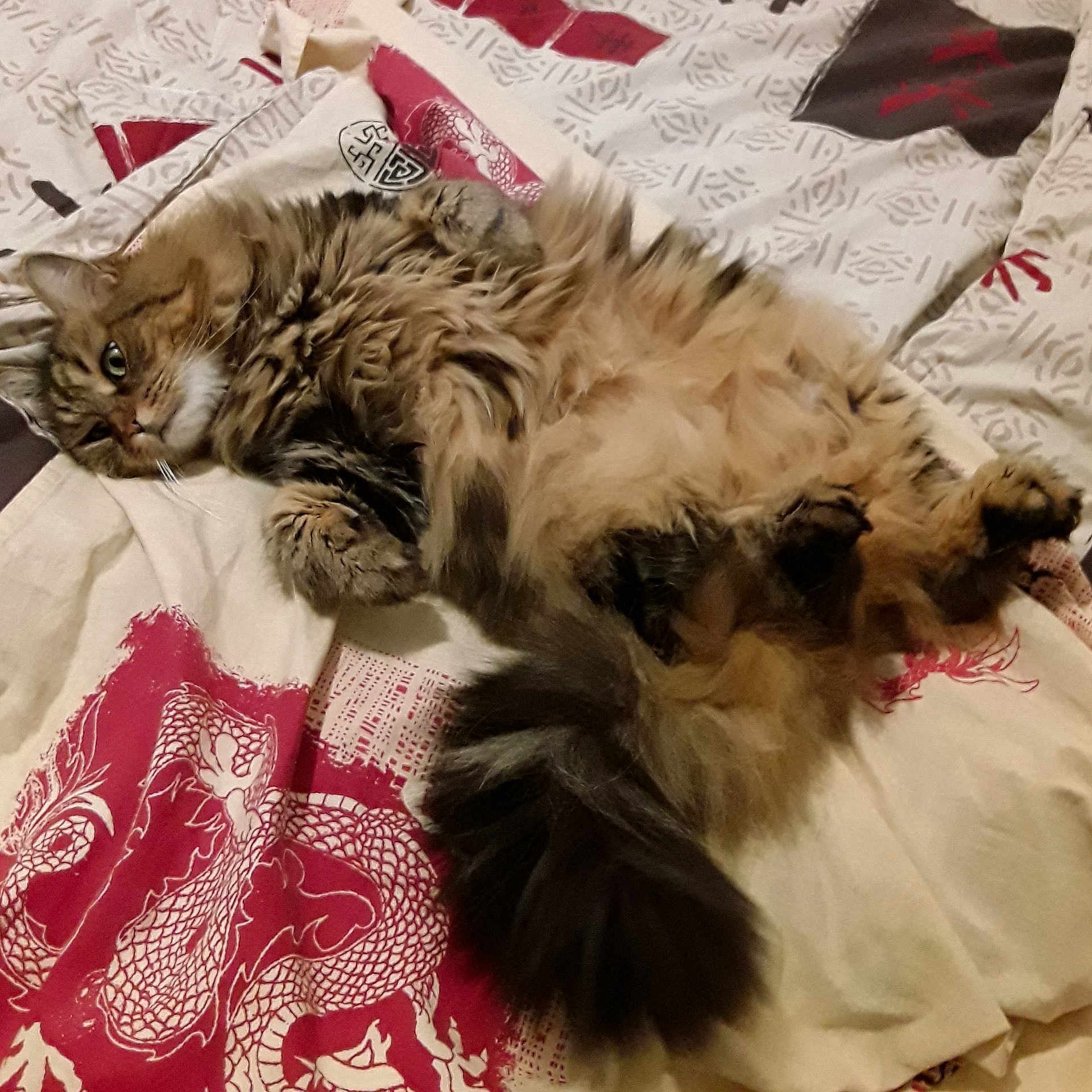 Choupette