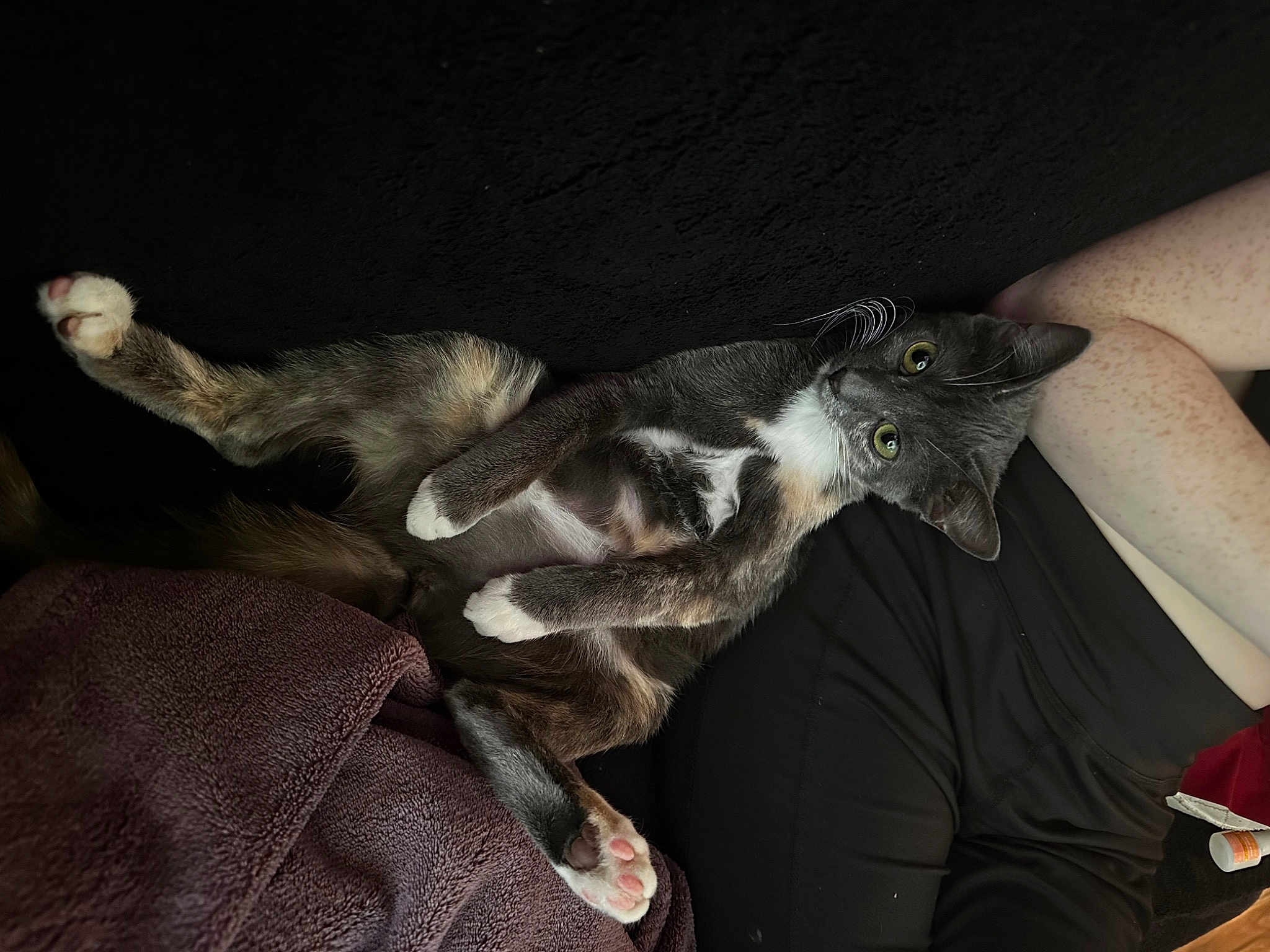 Mittens