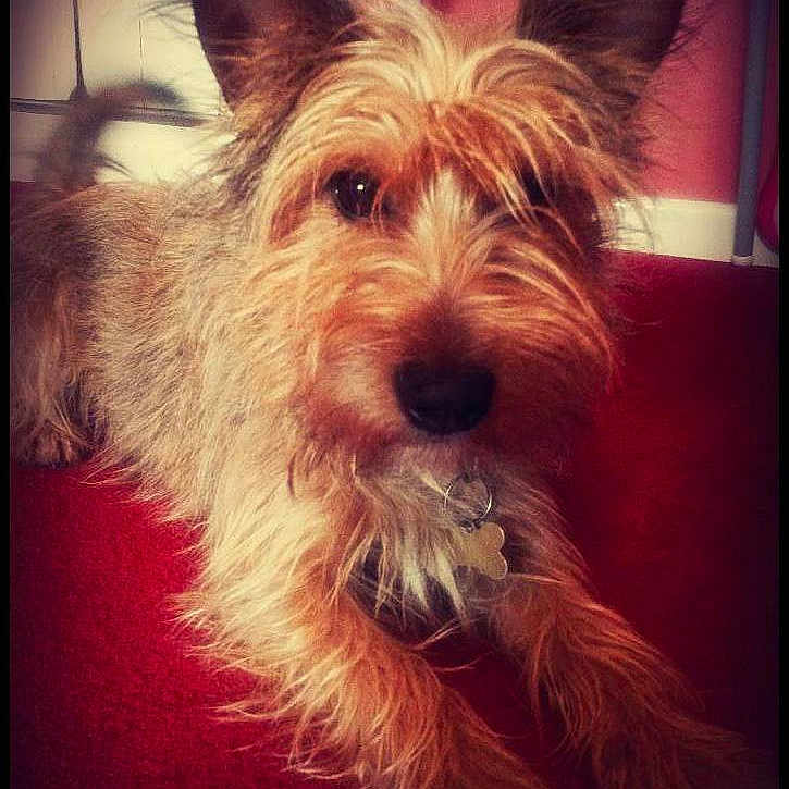 Alfie joined the competition — help win amazing prizes!