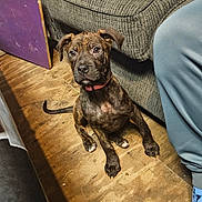 Zoey is registered to the contest to win money with this photo: