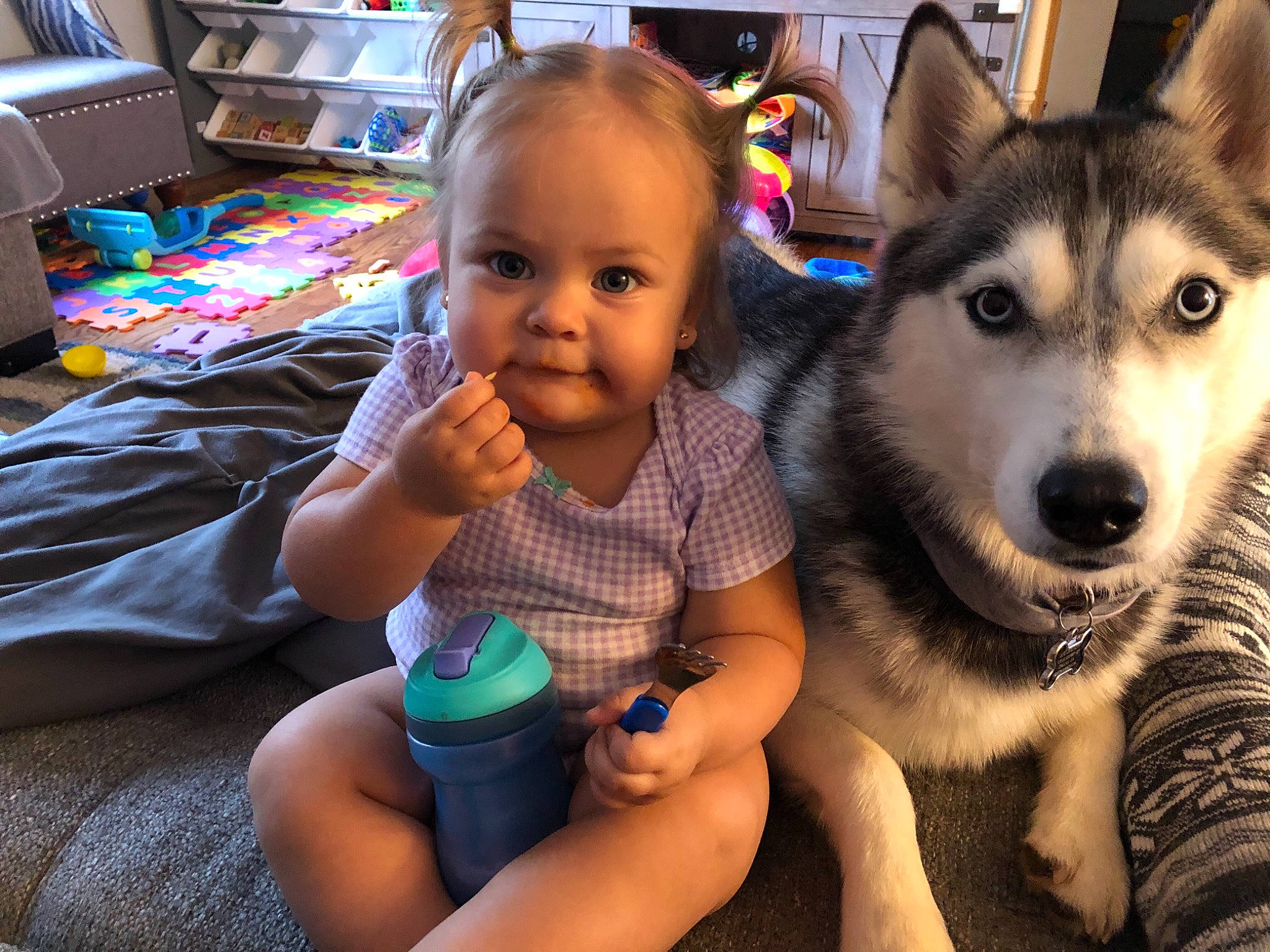 Dani Lynn joined the competition — help win amazing prizes! carnivore, chair, child, companion_dog, dog, dog_breed, eye, fawn, fun, happy, head, iris, leisure, people, person, shelf, skin, sled_dog, snout, t_shirt