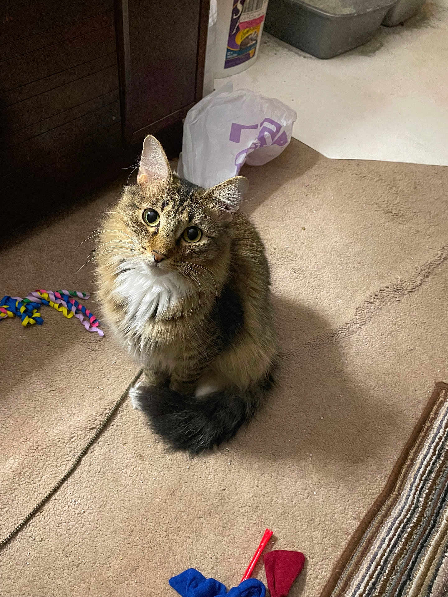Zoe
