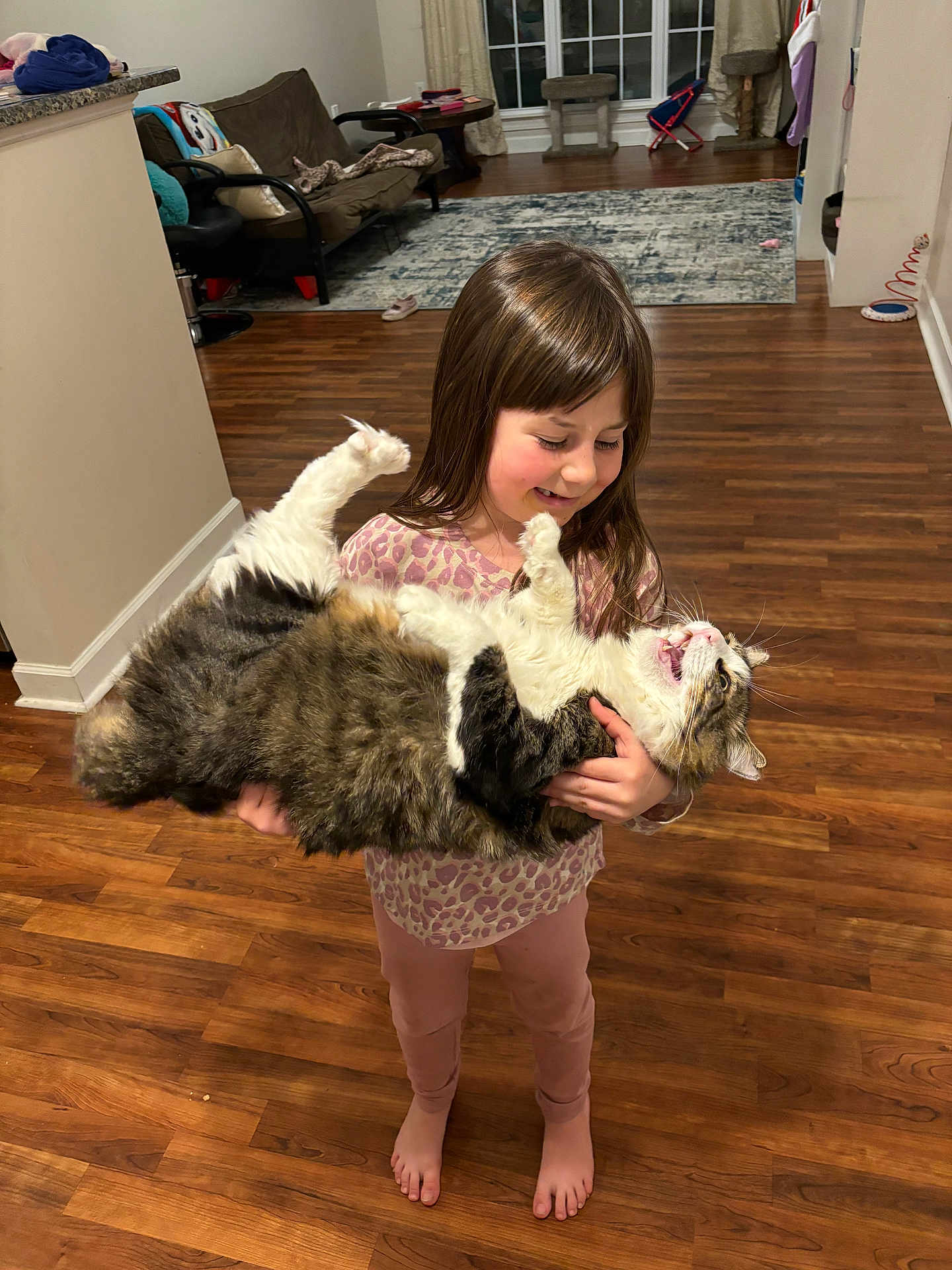Big Fat Daddy Cat