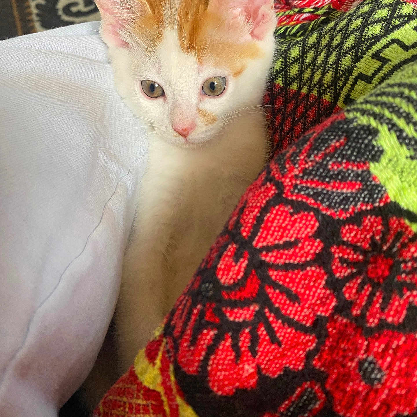 Mochi
