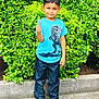 boy, child, smiling, thumbs_up, blue_tshirt, dinosaur_print, jeans, black_shoes, greenery, hedge, outdoor, standing, concrete, casual_clothing, daylight, happy, person, nature, portrait, cute
