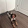 Winston