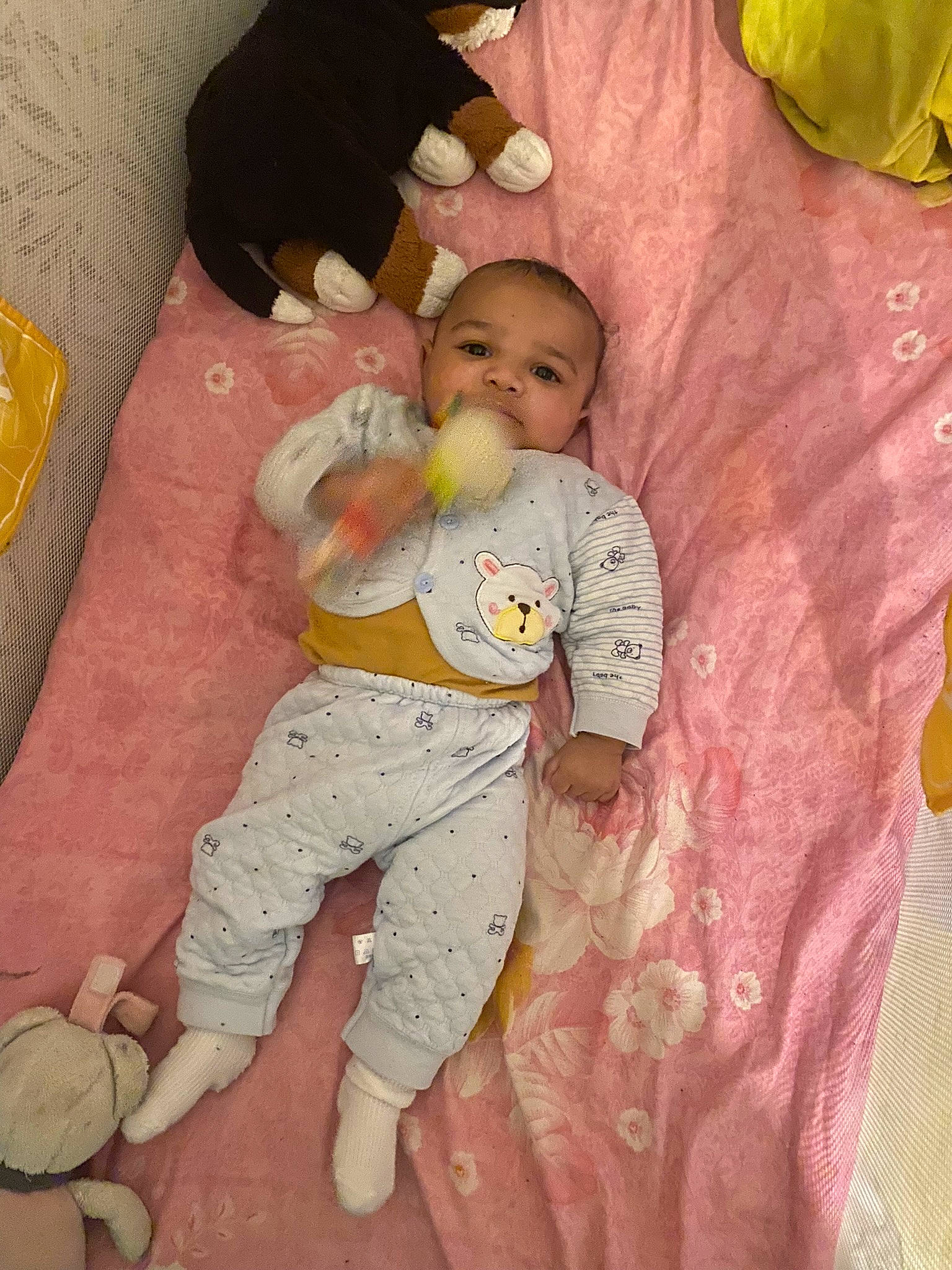 Warren a rejoint le concours — aidez-le/la à gagner de superbes lots ! baby, baby_products, baby_toddler_clothing, bed, bedding, child, comfort, foot, fun, happy, human_body, human_leg, leg, linens, person, stuffed_toy, thigh, thumb, toddler, toy