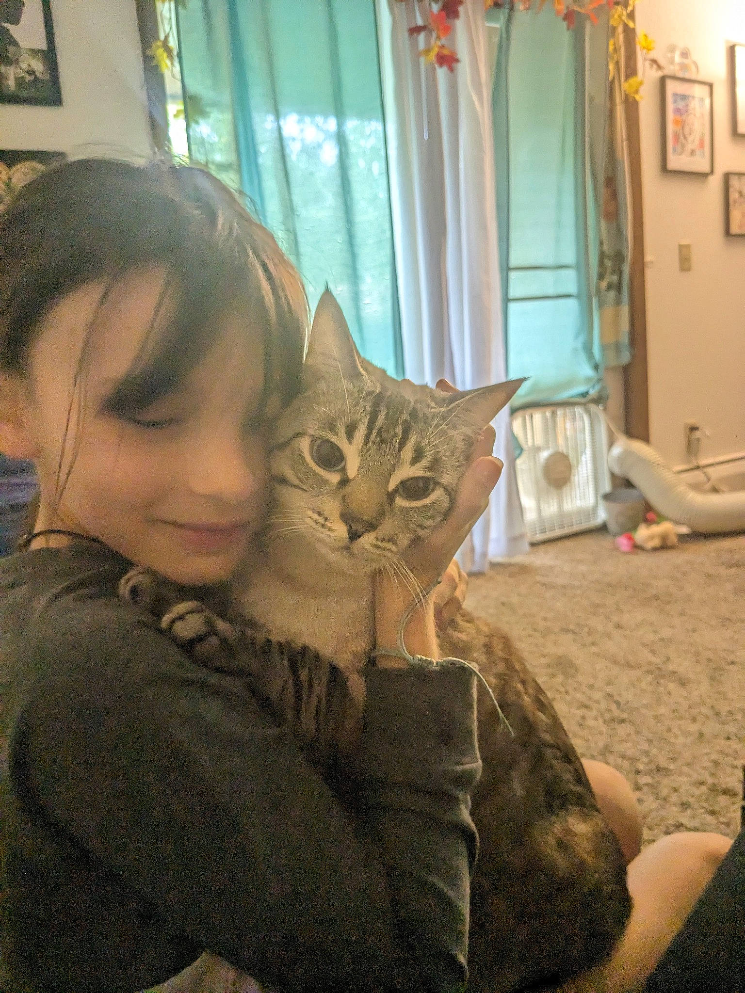 Mya joined the competition — help win amazing prizes! carnivore, cat, comfort, curtain, domestic_short_haired_cat, door, ear, fawn, felidae, flooring, fur, joy, lap, mammal, person, picture_frame, room, sitting, small_to_medium_sized_cats, textile