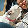 dog, person, indoor, hoodie, white_dog, pink_collar, affection, nuzzle, face, casual, clothing, closet, hanger, home, candid, pet, animal, friendship, cute, playful