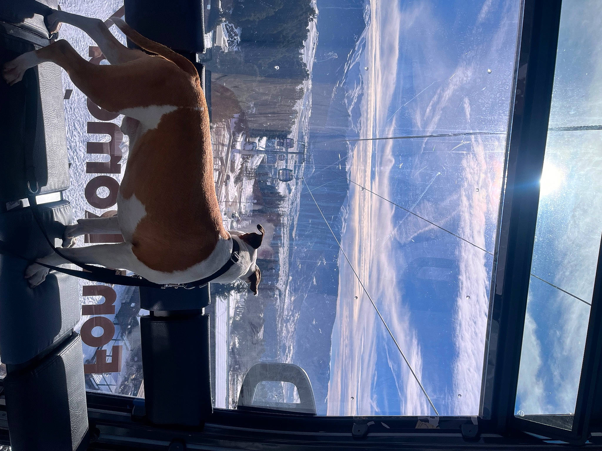 Daly a rejoint le concours — aidez-le/la à gagner de superbes lots ! auto_part, automotive_exterior, automotive_lighting, automotive_window_part, bumper, elbow, electric_blue, gas, glass, hood, machine, metal, shadow, sky, tints_and_shades, transparent_material, vehicle_door, visual_arts, water, windshield