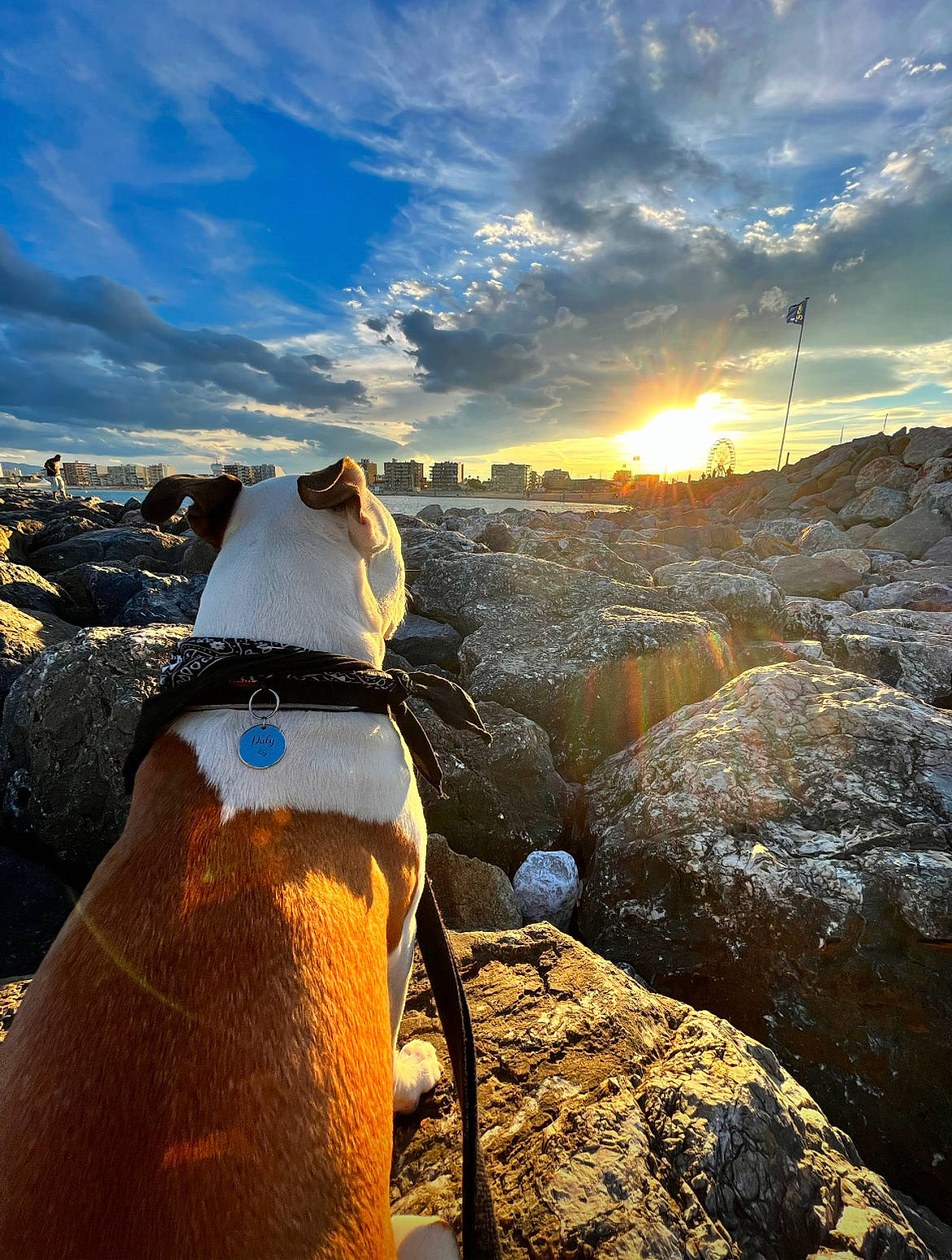 Daly participe au concours pour gagner de l'argent avec cette photo : carnivore, cloud, cumulus, dog, fawn, flightless_bird, freezing, hat, horizon, landscape, meteorological_phenomenon, mountainous_landforms, ocean, penguin, recreation, rock, sky, sunlight, wind_wave, winter