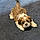 Charlie