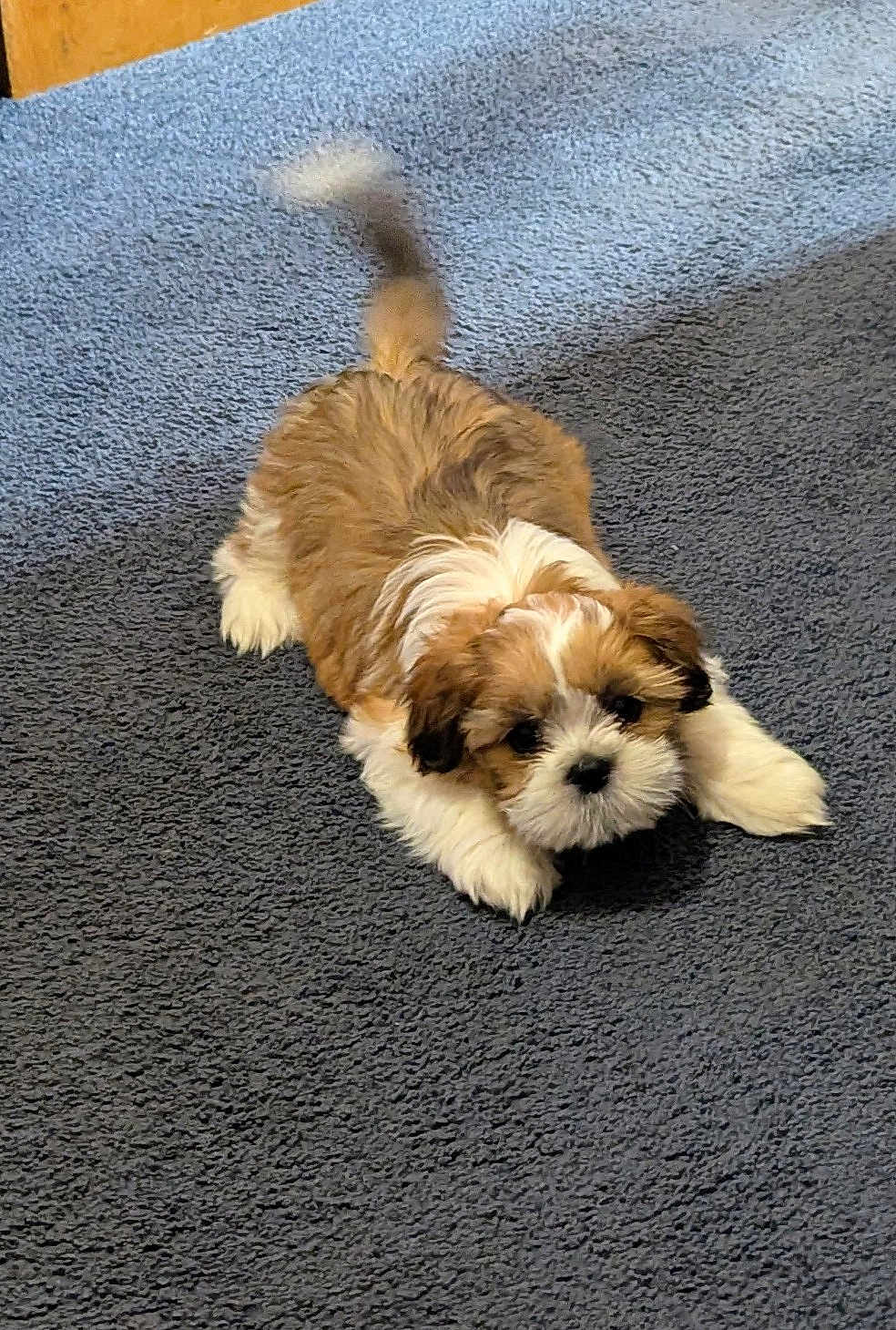 Charlie