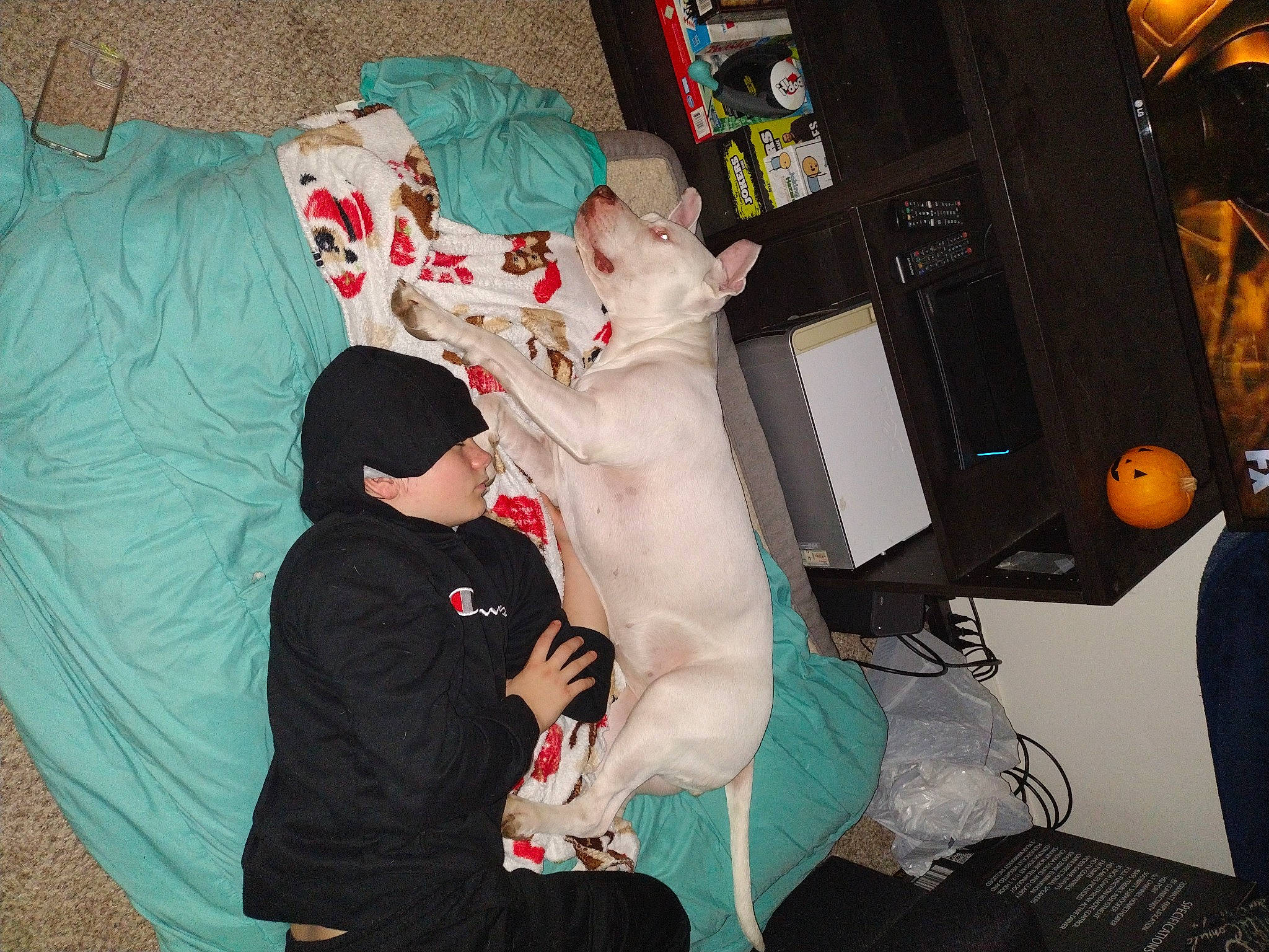 Indi is registered to the contest to win money with this photo: audio_equipment, child, comfort, computer, computer_hardware, computer_keyboard, computer_monitor, electronic_instrument, event, fun, fur, gadget, hairstyle, input_device, lap, peripheral, personal_computer, room, stuffed_toy, t_shirt