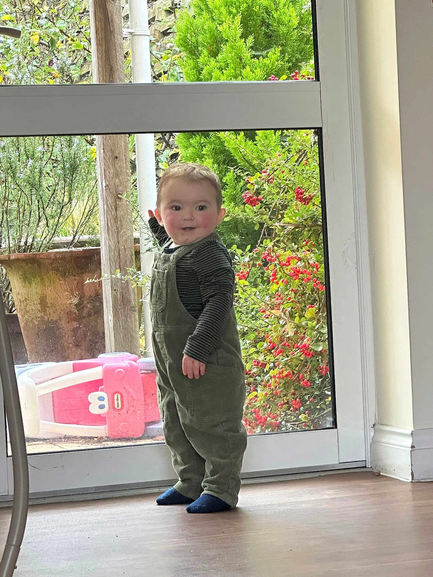 Ronnie joined the competition — help win amazing prizes! toddler, child, indoor, glass_door, overalls, striped_shirt, pointing, curious, greenery, plants, toy, floor, socks, window, natural_light, home, person, young_child, standing, playful